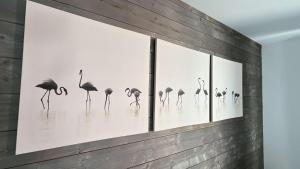 T3 spacieux- Clim- Piscine