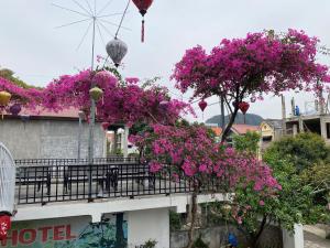 Elizabeth Hotel Tam Coc