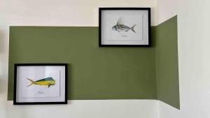 Bungalow entero en Galápagos 77