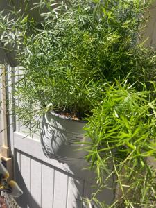 Belle chambre avec accès à une terrasse