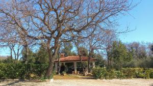 Apartments and Rooms Villa Chiara