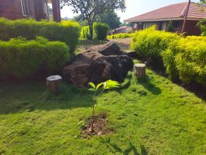 Luxury Konkan Beach Stay Guhagar