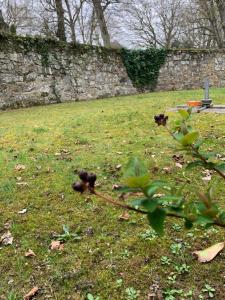 Studio avec jardin MER à proximité!