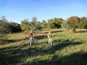 Appartements Les Olives : photos des chambres