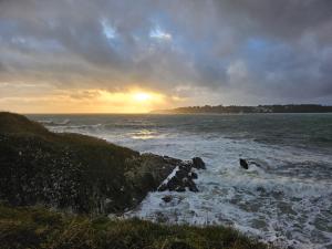 Maisons de vacances Gite Les mouettes qui caquetent : photos des chambres