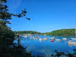 Maisons de vacances Gite Les mouettes qui caquetent : photos des chambres
