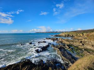 Maisons de vacances Gite Les mouettes qui caquetent : photos des chambres