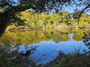 Maisons de vacances Gite Les mouettes qui caquetent : photos des chambres