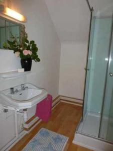 Appartements Appartement 3 etoiles - Parc aquatique - eeeaaf : photos des chambres