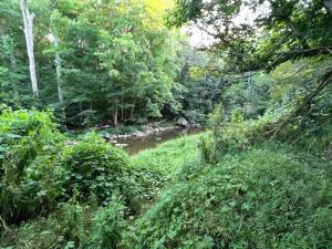 The Farm at Fox Hollow