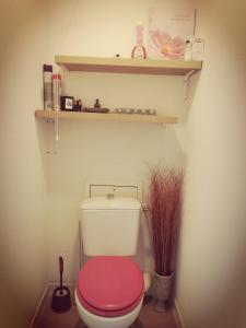 Appartements Pleasant entire apartement in Bordeaux with parking : photos des chambres