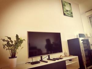 Appartements Pleasant entire apartement in Bordeaux with parking : photos des chambres