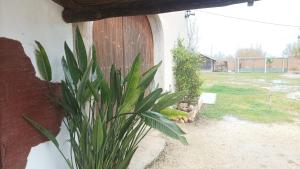 Masia Rural Can Ribes