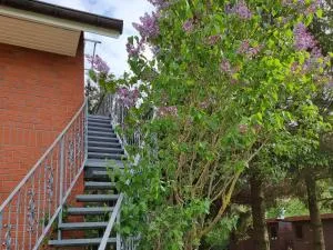 Ferienwohnung Tannenblick-MV - 华法林