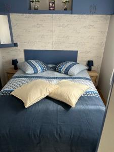Campings Chez Dom & Oli camping GINA PARK : photos des chambres