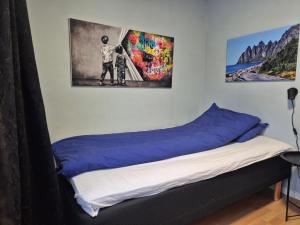 Senja 4 Summit