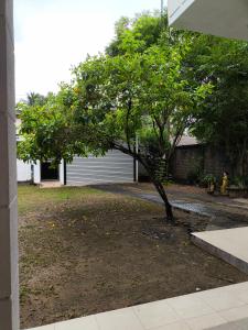 Air Ray Homestay