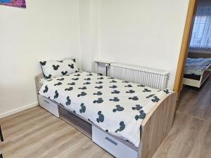 Beautiful 3 Room big Apartment with kitchen and Balcony