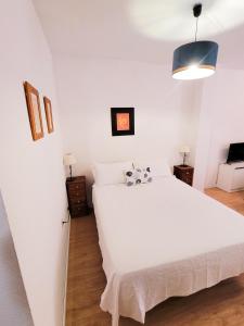 Studio Monserrate B