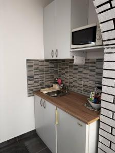 Apartman Mitnica