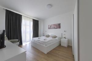 Shon apartment Old Town