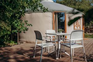 Zatoka Bielika Glamping