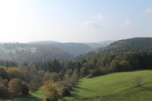 Panoramic Apartments Hohegeiß