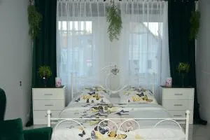 Apartament u Danusi - 帕奇库夫