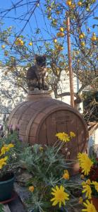 grenta country house