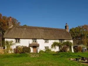 Little Lions Farm - Three Legged Cross