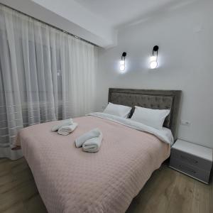 2B Apartment-2