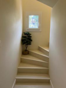 Villas Grande Villa avec Piscine, Petanque et Vue Mer pour 12 Personnes : photos des chambres