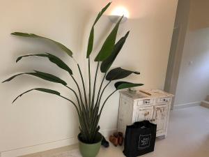 Villas Grande Villa avec Piscine, Petanque et Vue Mer pour 12 Personnes : photos des chambres