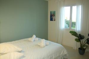 Villas Grande Villa avec Piscine, Petanque et Vue Mer pour 12 Personnes : photos des chambres