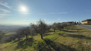 la villa bella vista