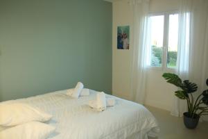 Villas Grande Villa avec Piscine, Petanque et Vue Mer pour 12 Personnes : photos des chambres