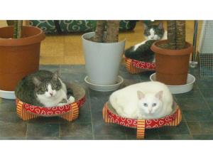 TAMA HOTEL - Vacation STAY 41333v