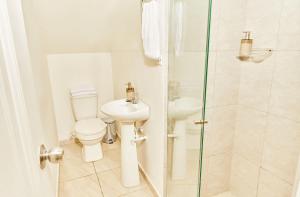 Apartamentos y Loft Laureles