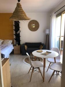 Grand studio terrasse climatisé central et calme