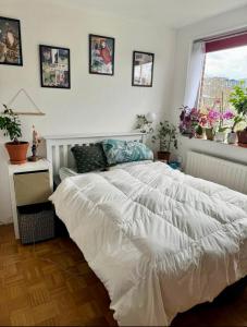 Quiet cosy flat in amazing central London location