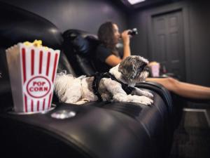 Sunset, Lake and Mtn View, Theater, Hot Tub, Xbox, Close to Sunday River