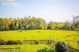 Chalets Chalet baie de La Foret-Fouesnant : photos des chambres