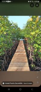 Hostal Puerto Escondido
