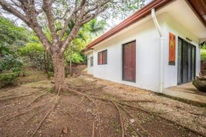 Finca Panama Tropical Villa and Guest Home Pool and Lush Garden