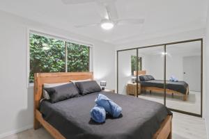 Budge near the Beach