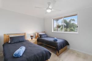 Budge near the Beach