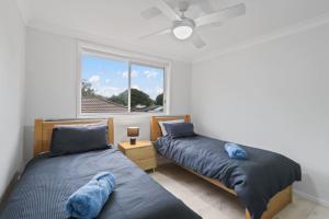 Budge near the Beach