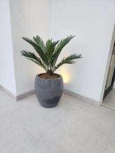 Day Dream Villa Sanur