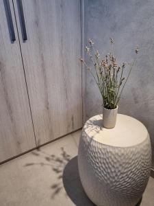 Villa with a view and heated pool in Croatia