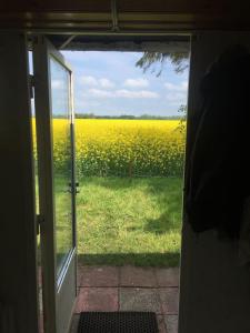 Beautiful Home In Höllviken With 1 Bedrooms